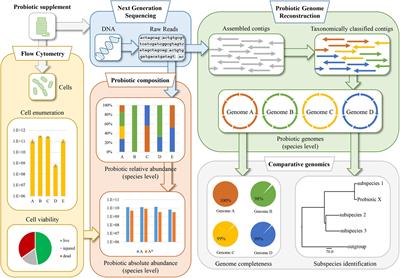 The Probiotic Identity Card: A Novel “Probiogenomics” Approach to Investigate Probiotic Supplements